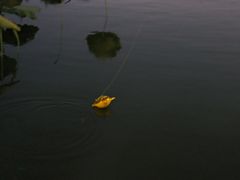 -西湖天地
