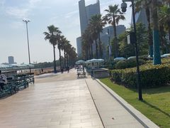 -金沙湖公园