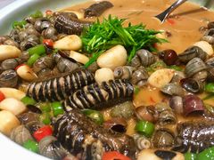 -子福慧(虹桥店)