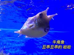 -多彩贵州城极地海洋世界