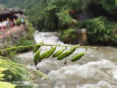 -西岭雪山大飞水景区