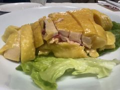 -陈生记黑鱼馆·20年活鱼现杀(宁波鼓楼店)