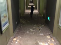 -上海新国际博览中心美仑酒店