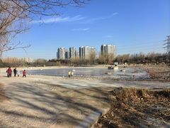 -太阳宫公园