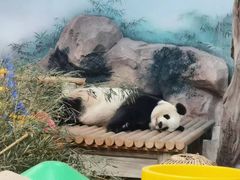 -苏州太湖国家湿地公园