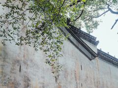 -婺源月亮湾