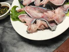 -金砂阿洲鱼册店