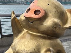 -星光大道