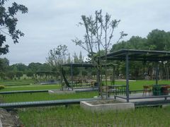 -洪湖家庭农场·团建·露营·会议