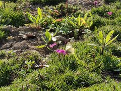 -汉长安城未央宫国家考古遗址公园