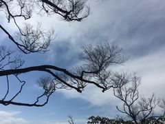 -洛阳白云山景区