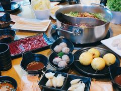 -手选潮汕鲜活牛肉火锅(二七广场店)