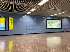 -大龙山(地铁站)