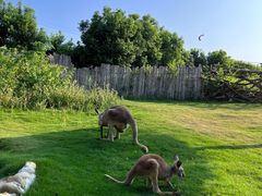 -泉州海丝野生动物世界