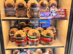 -海底捞火锅(吾悦广场店)