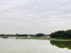 -大兴滨河森林公园