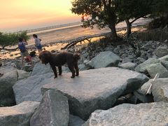 -宝安西湾红树林湿地公园