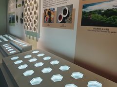 -中国茶叶博物馆(双峰馆区)