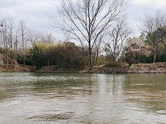 -西溪国家湿地公园