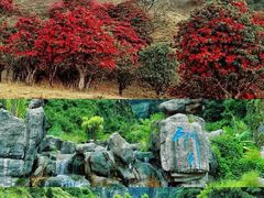-苍山世界地质公园·石门关大峡谷