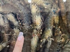 -大锅强·蒸海鲜青岛菜(吾悦广场店)