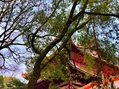 -南岳衡山风景名胜区