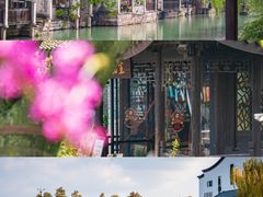 -乌镇景区