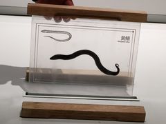 -中国湿地博物馆