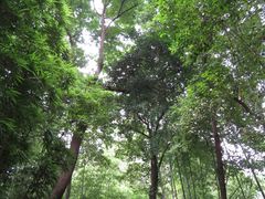 -成都杜甫草堂博物馆