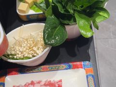 -京悦南门涮羊肉·羊蝎子火锅(田林路店)