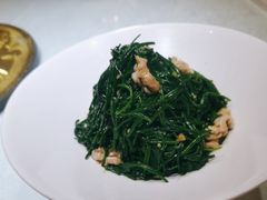-老阿妈蒙古村·蒙古包·草原文化·歌舞表演(老君堂店)