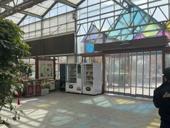 -南宫五洲植物乐园