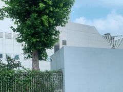 -二十一世纪饭店-游泳馆