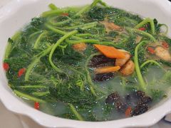 上汤苋菜-有腥气私房菜·寻味顺德