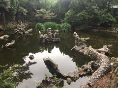 -叶家花园