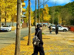 -洛阳白云山景区