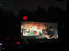 -枫花园汽车电影院(朝阳公园店)