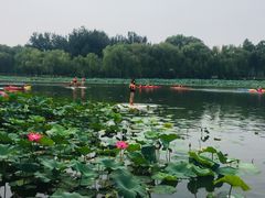 -WhaleSports户外水上运动俱乐部(朝阳公园店)
