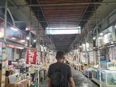 -西归浦每天偶来市场