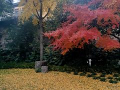 -狼山风景名胜区