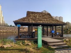 -前关湿地公园
