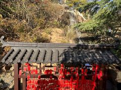 -信号山公园