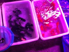 -中环花鸟鱼虫市场