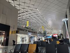 -郑州新郑国际机场-T2航站楼