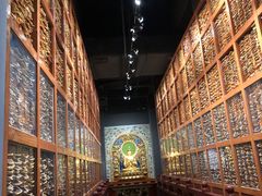 -青海藏文化博物院