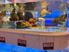 -金苑海鲜酒家(来魅力店)