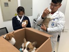 -萌兽医馆·绝育·24小时内科·宠物医院(德胜店)