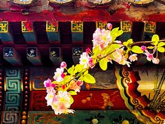 -元大都城垣遗址公园