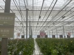 -上海鲜花港