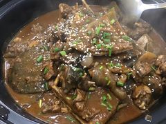 甲鱼-大圣甲(汉口店)